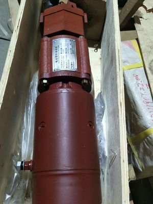 Pompa di olio di alluminio 12V190 per parti di motori diesel 2012.54.00