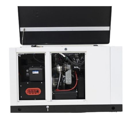 10kw15kw gas naturale 1fase propano butano miscela generatore di gas LPG per il vostro beneficio