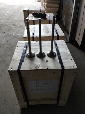 Personalizzazione 118KG W12V190.03.01 Valvola di aspirazione per generatore di gas naturale da 500 kW Shengdong