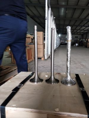 Personalizzazione 118KG W12V190.03.01 Valvola di aspirazione per generatore di gas naturale da 500 kW Shengdong