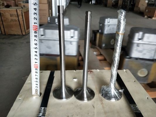 Personalizzazione 118KG W12V190.03.01 Valvola di aspirazione per generatore di gas naturale da 500 kW Shengdong