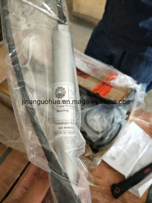 12V190 Stitt Spark Plug Motortech Ignition Plug Shengdong/Jichai richiesta personalizzata