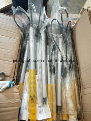12V190 Stitt Spark Plug Motortech Ignition Plug Shengdong/Jichai richiesta personalizzata