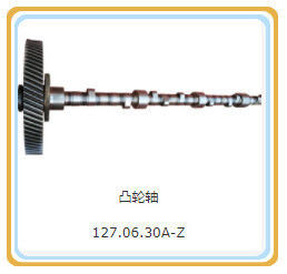 Tipo di uscita di corrente continua 200 kW 127.06.30-Z Assemblaggio dell'albero di camma per parti di motori a gas Shengdong