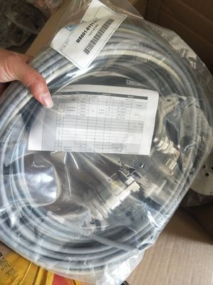 Motortech 12V190 Generatore di gas con guinzaglio di ingresso con certificazione CE e testina