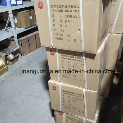 G12V190zldt1-2 Parti di generatore di gas naturale di Jinan Pompa d'acqua per componente non standard