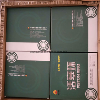 Componente standard con capacità di 100 kg