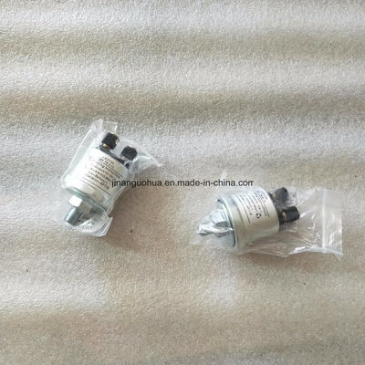 Chidong 12V190 Parti del motore alluminio G12V190PZL con eccellente durata