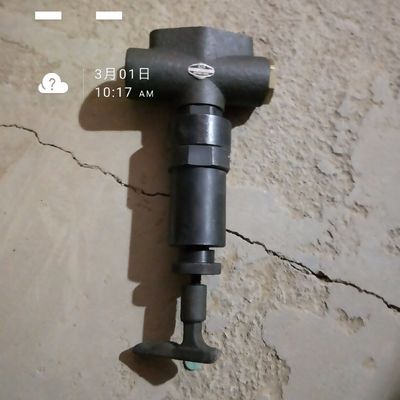 Jichai motore parti pompa di iniezione di carburante per la stampa Z12V190B a prezzi competitivi