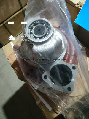Pompa d'acqua 12vb 22.00b con personalizzazione