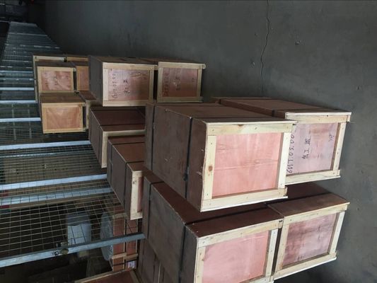 Struttura del pistone pilota dei mezzi idrici Parti del motore marino per motore diesel di Jinan serie 8190