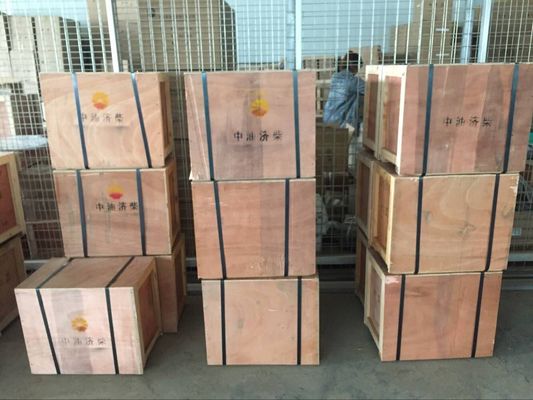 Struttura del pistone pilota dei mezzi idrici Parti del motore marino per motore diesel di Jinan serie 8190