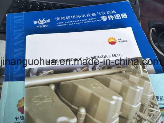 Valvola di regolazione della pressione del gas naturale 500GF-T Jichai Shengdong 190 cilindro certificato CE