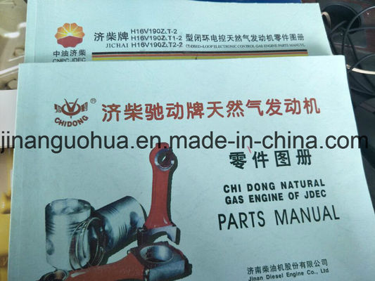 Valvola di regolazione della pressione del gas naturale 500GF-T Jichai Shengdong 190 cilindro certificato CE