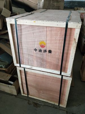 Z12V190bc10 Parti di motore diesel di Jinan personalizzate per le vostre esigenze
