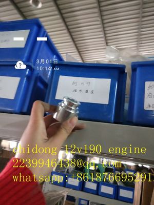 Co1300f-3/25 Modello Bl12V190 Zl-3 Jinan Parti di motori diesel con certificazione ISO9001
