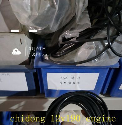 Parti di motori diesel della serie 12V190 di Jinan, certificati CE, per le esigenze del cliente