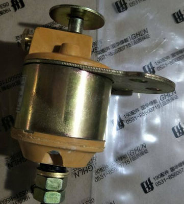 Co810f-3/22 G12V190zl-3 Jinan Diesel Engine Parts 12V190 Il pistone a prezzi accessibili