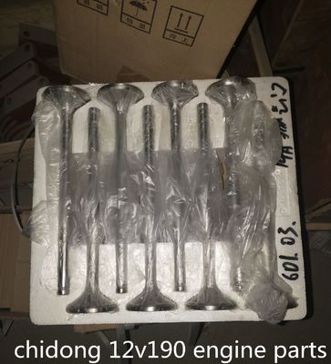 B6190zlc-1 Parti del motore di una nave pompatrice di sabbia Componente standard per prestazioni di 100 kg