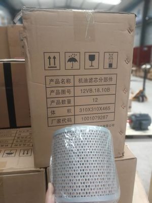 6016.22D.00 Assemblaggio pompa d'acqua per generatore di gas H16V190 Performance eccellente
