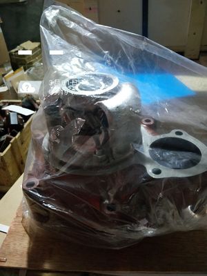 16V190 H16V190zl Motore Diesel Modello Pompa d'acqua Assy 6016.22D. 00 con personalizzazione