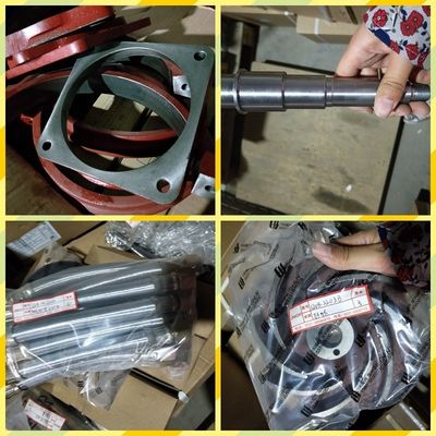 Performance Push Co1200/20 A12V190pzl Parti di motori diesel di Jinan con certificazione CE