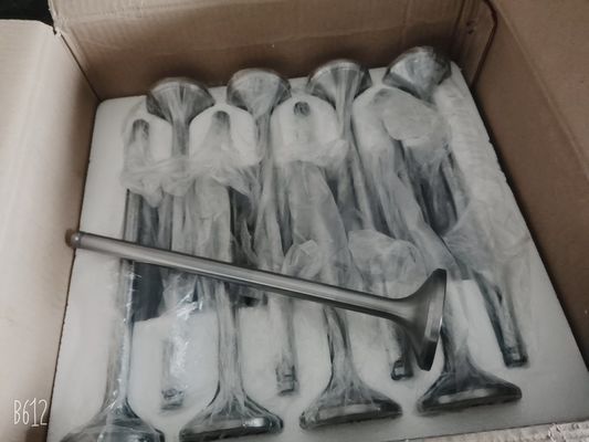 Motore marino diesel sovralimentato 4 in linea Jichai Chidong a Jinan per Marine 4190zlc-2