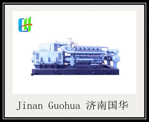 Generatore di biogas da 700 kW della serie 12V190 per un'efficienza ottimale