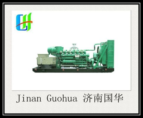 Generatore di biogas da 700 kW della serie 12V190 per un'efficienza ottimale