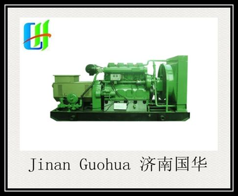 Generatore di biogas da 700 kW della serie 12V190 per un'efficienza ottimale