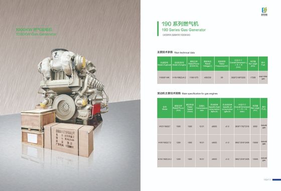 Opzione di personalizzazione del generatore di gas 500GF-Nk della serie 190 per uscita a tre fasi CA
