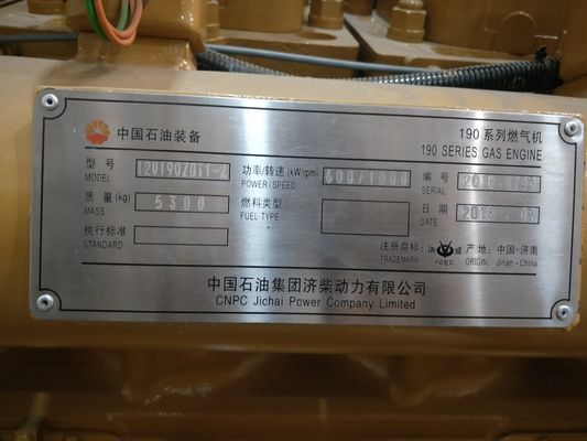 12V190zdt1-2 Jichai motore generatore di gas naturale personalizzazione per le vostre esigenze