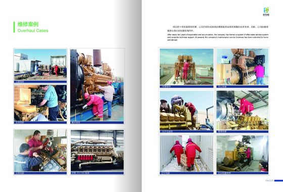 1000kw Bl12V190zld Diesel Generating Sets Jichai Personalizzazione per le vostre esigenze