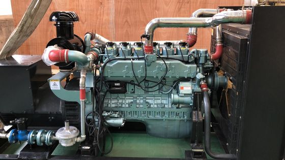 Generatore a gas naturale da 120 kW con cilindro in V e personalizzato