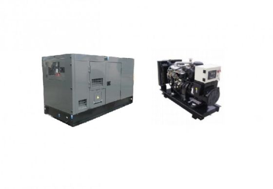 Generatore di biogas da 60 kVA per macellaio agricolo 1500 / 1800 Rmp