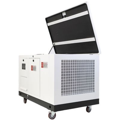Generatore di biogas da 60 kVA per macellaio agricolo 1500 / 1800 Rmp