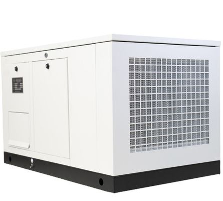 Generatore di biogas da 60 kVA per macellaio agricolo 1500 / 1800 Rmp