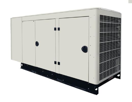 Generatore di biogas da 60 kVA per macellaio agricolo 1500 / 1800 Rmp