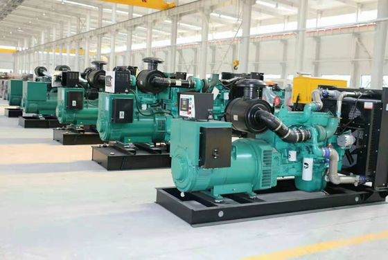 Generatore di biogas da 60 kVA per macellaio agricolo 1500 / 1800 Rmp